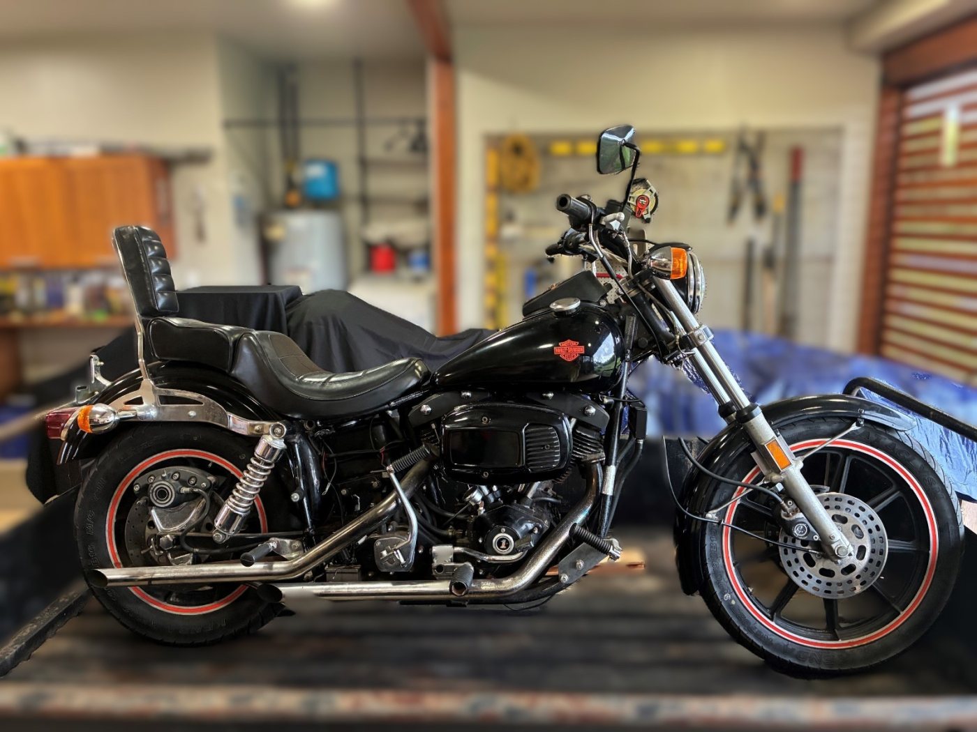 1982 HARLEY-DAVIDSON FXB Survivor