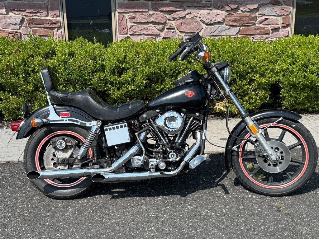 1982 Harley-Davidson Shovelhead Survivor