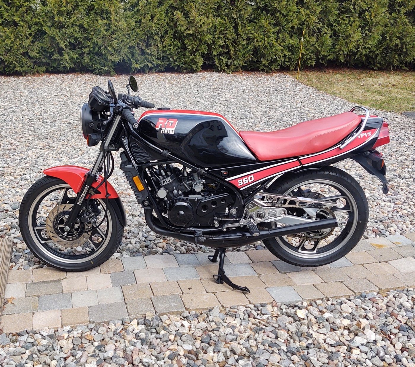 1984 Yamaha RZ350